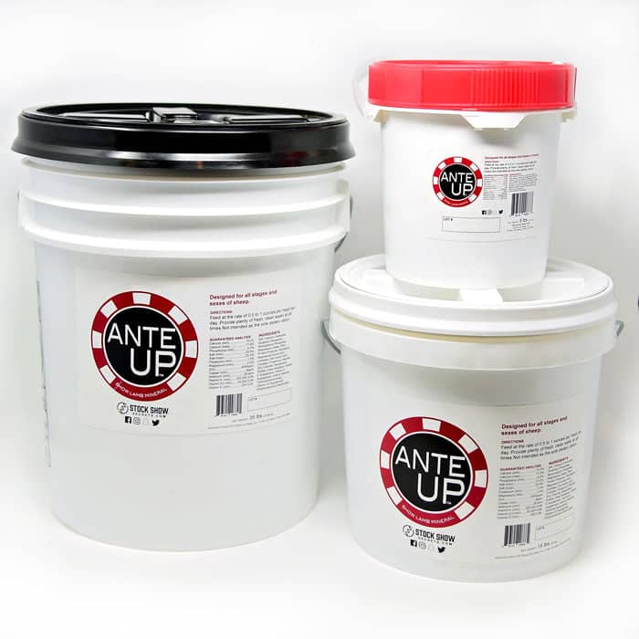 Ante Up Lamb Mineral