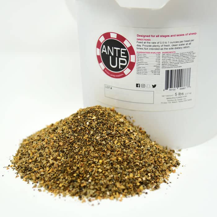 Ante Up Lamb Mineral