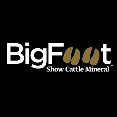 Big Foot Mineral